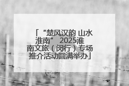 “楚风汉韵 山水淮南” 2025淮南文旅（闵行）专场推介活动圆满举办
