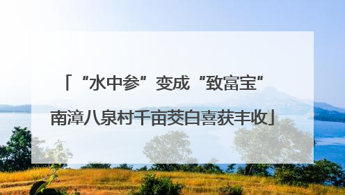 “水中参”变成“致富宝” 南漳八泉村千亩茭白喜获丰收