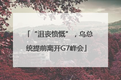 “沮丧愤慨”，乌总统提前离开G7峰会