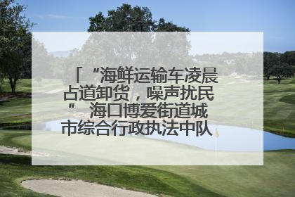 “海鲜运输车凌晨占道卸货，噪声扰民” 海口博爱街道城市综合行政执法中队：将联合交警加强长堤路一带巡逻