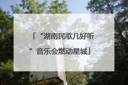 “湖南民歌几好听”音乐会燃动星城