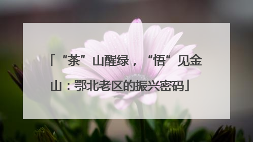 “茶”山醒绿，“悟”见金山：鄂北老区的振兴密码