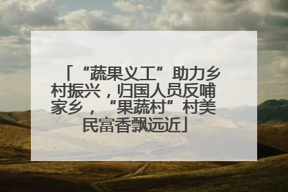 “蔬果义工”助力乡村振兴，归国人员反哺家乡，“果蔬村”村美民富香飘远近