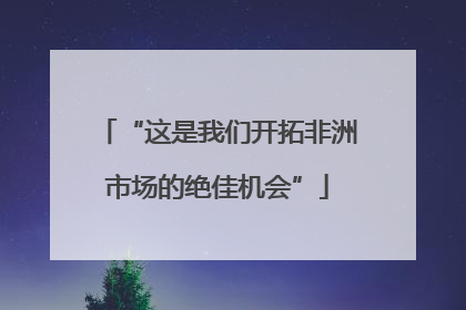 “这是我们开拓非洲市场的绝佳机会”