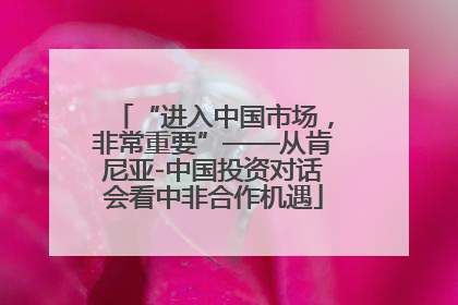 “进入中国市场，非常重要”——从肯尼亚-中国投资对话会看中非合作机遇
