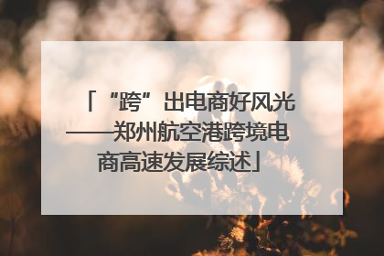“跨”出电商好风光——郑州航空港跨境电商高速发展综述