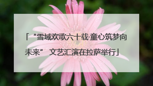 “雪域欢歌六十载·童心筑梦向未来” 文艺汇演在拉萨举行