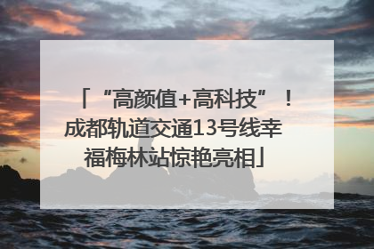 “高颜值+高科技”！成都轨道交通13号线幸福梅林站惊艳亮相
