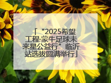 “2025希望工程·蒙牛足球未来星公益行”临沂站选拔圆满举行