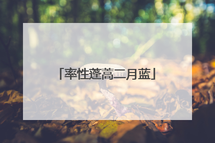 率性蓬蒿二月蓝