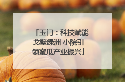 玉门：科技赋能戈壁绿洲 小院引领蜜瓜产业振兴