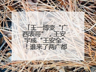 王一博变“广西表哥”，王安宇成“王安全”！谁来了两广都得“腌入味”