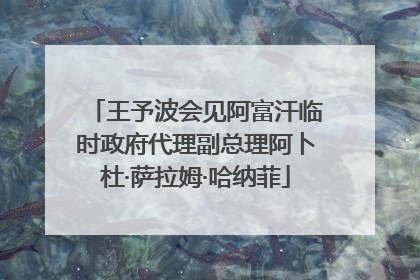 王予波会见阿富汗临时政府代理副总理阿卜杜·萨拉姆·哈纳菲