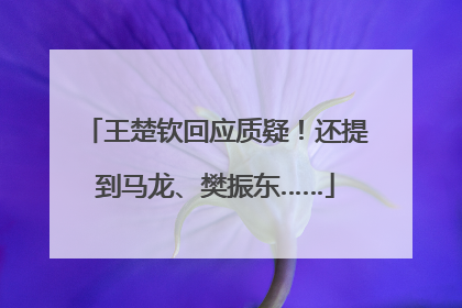王楚钦回应质疑！还提到马龙、樊振东……