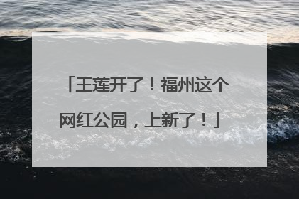王莲开了！福州这个网红公园，上新了！