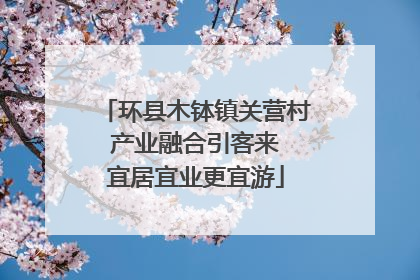 环县木钵镇关营村 产业融合引客来 宜居宜业更宜游