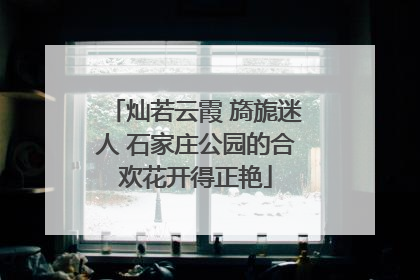 灿若云霞 旖旎迷人 石家庄公园的合欢花开得正艳