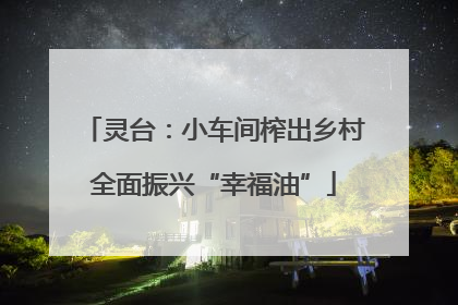 灵台：小车间榨出乡村全面振兴“幸福油”