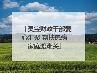 灵宝财政干部爱心汇聚 帮扶患病家庭渡难关