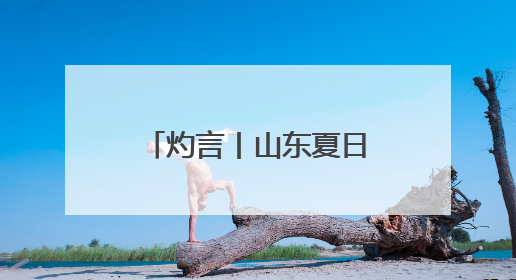 灼言丨山东夏日经济升温，带来何种发展启示
