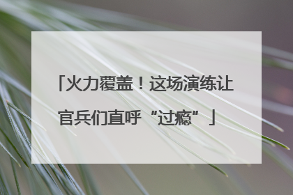 火力覆盖！这场演练让官兵们直呼“过瘾”