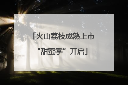 火山荔枝成熟上市 “甜蜜季”开启