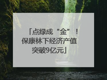点绿成“金”！保康林下经济产值突破9亿元