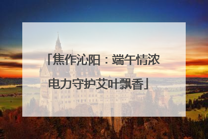 焦作沁阳：端午情浓 电力守护艾叶飘香