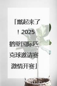 燃起来了！2025鹤壁国际匹克球邀请赛激情开赛