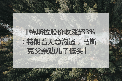 特斯拉股价收涨超3%：特朗普无意沟通，马斯克父亲劝儿子低头
