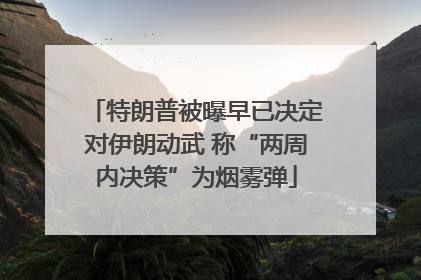 特朗普被曝早已决定对伊朗动武 称“两周内决策”为烟雾弹