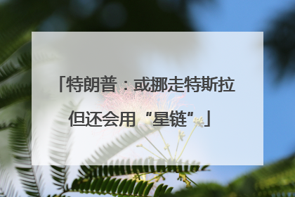 特朗普：或挪走特斯拉 但还会用“星链”