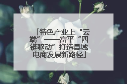 特色产业上“云端”——富平“四链驱动”打造县域电商发展新路径