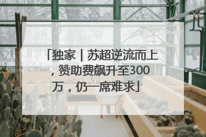 独家｜苏超逆流而上，赞助费飙升至300万，仍一席难求