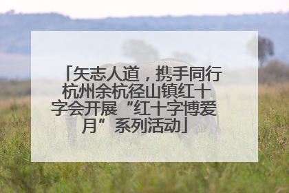 矢志人道，携手同行 杭州余杭径山镇红十字会开展“红十字博爱月”系列活动