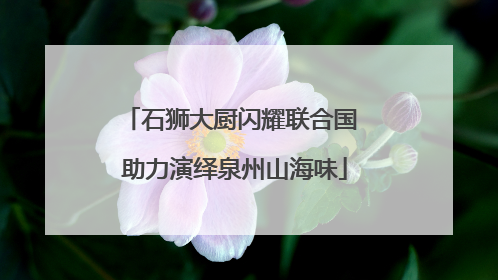 石狮大厨闪耀联合国 助力演绎泉州山海味
