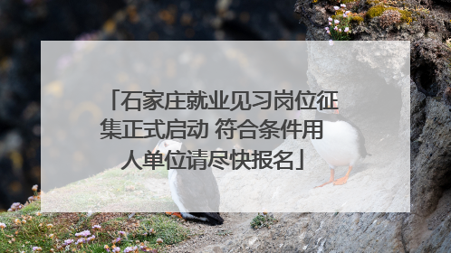 石家庄就业见习岗位征集正式启动 符合条件用人单位请尽快报名