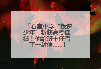 石室中学“叛逆少年”斩获高考佳绩！他给班主任写了一封信……