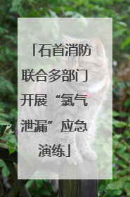 石首消防联合多部门开展“氯气泄漏”应急演练