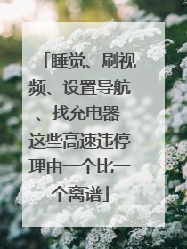 睡觉、刷视频、设置导航、找充电器 这些高速违停理由一个比一个离谱