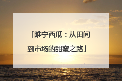 睢宁西瓜：从田间到市场的甜蜜之路