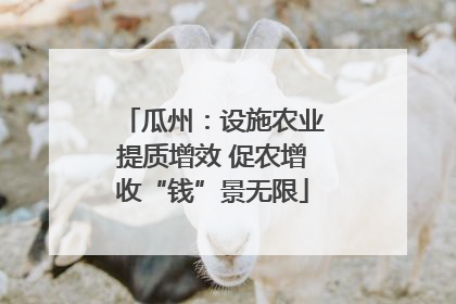 瓜州：设施农业提质增效 促农增收“钱”景无限