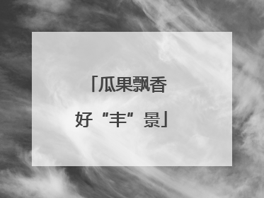 瓜果飘香 好“丰”景