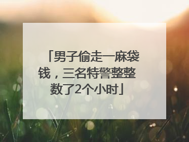 男子偷走一麻袋钱，三名特警整整数了2个小时