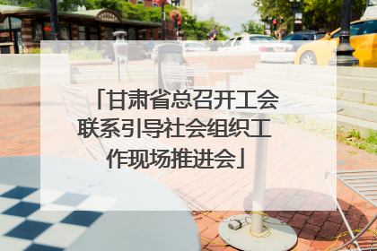 甘肃省总召开工会联系引导社会组织工作现场推进会