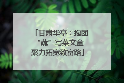 甘肃华亭：抱团“蔬”写菜文章 聚力拓宽致富路