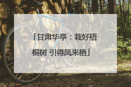 甘肃华亭：栽好梧桐树 引得凤来栖