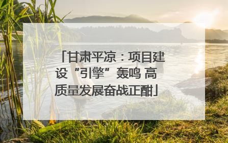 甘肃平凉：项目建设“引擎”轰鸣 高质量发展奋战正酣