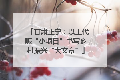 甘肃正宁：以工代赈“小项目”书写乡村振兴“大文章”