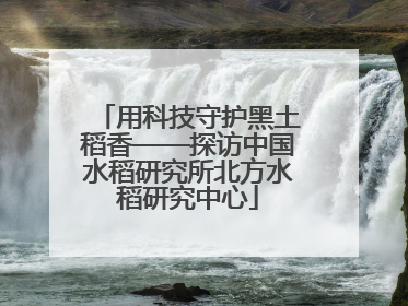 用科技守护黑土稻香——探访中国水稻研究所北方水稻研究中心